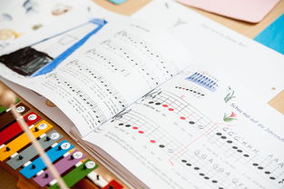 熊猫体育全站-中小学体育课安全教育现状与对策,中小学体育课安全教育现状与对策研究