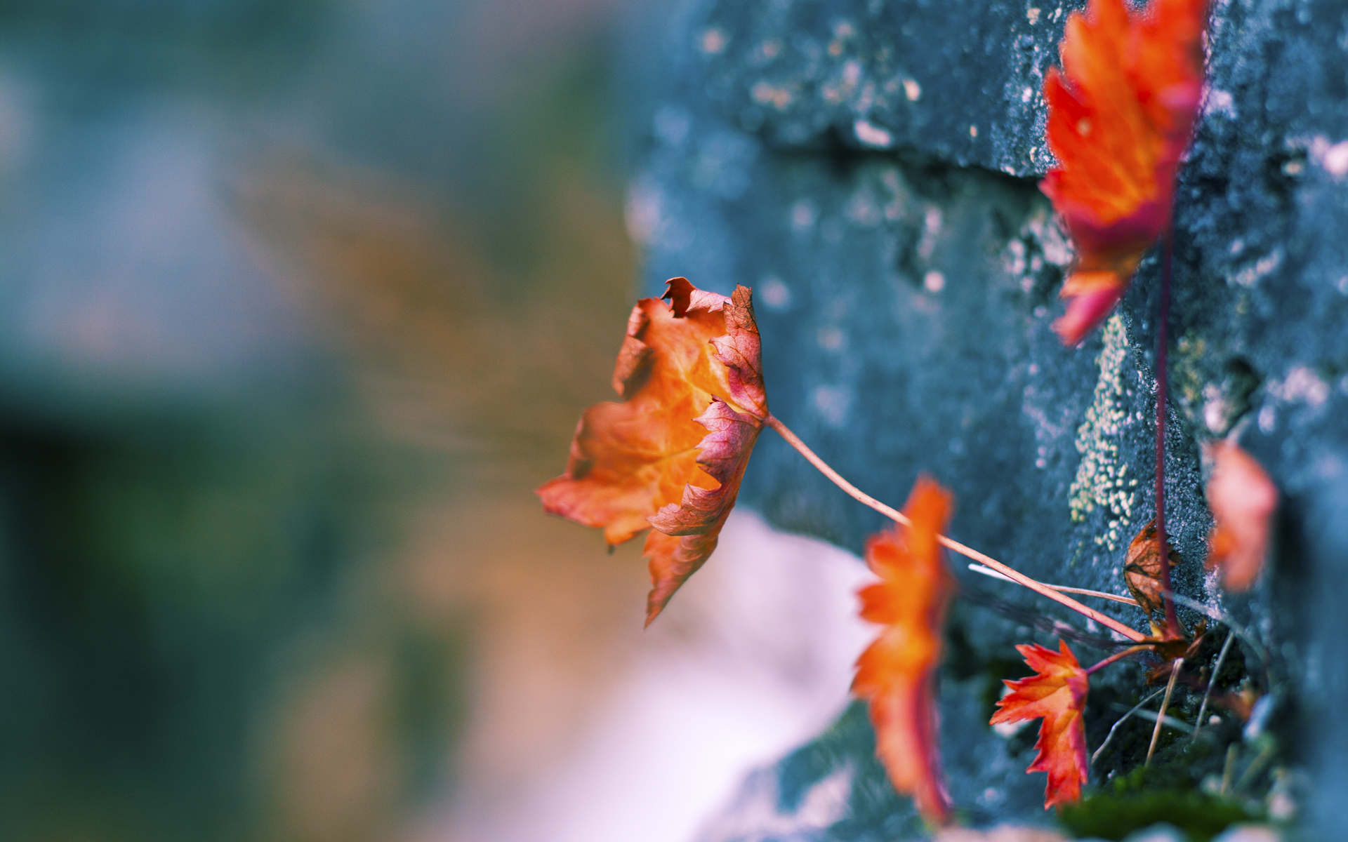 熊猫体育网址-田径赛季开启训练方式全面升级，田径 赛季