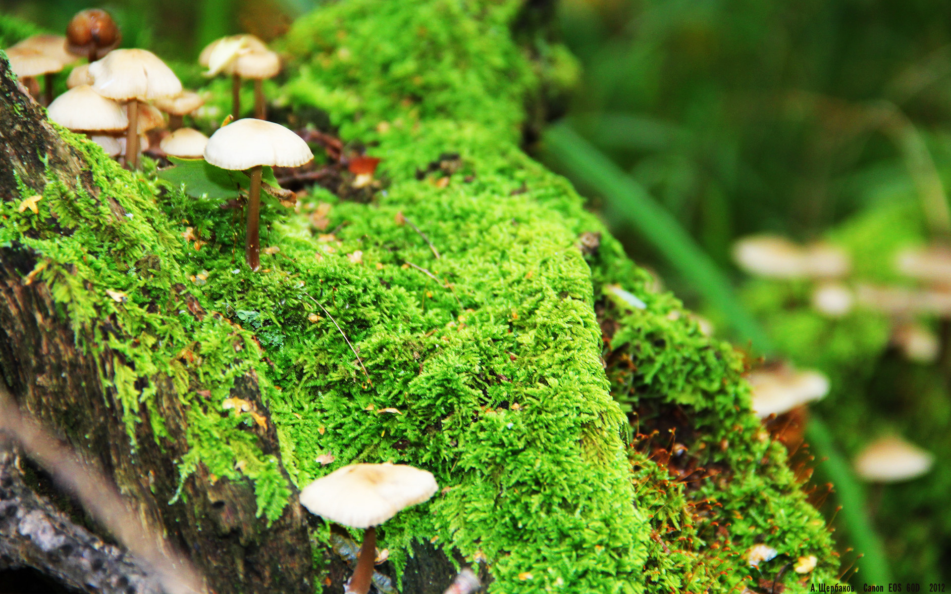 熊猫体育平台安全-国家队科学训练体系不断完善推动竞技水平稳步提升，国家体育总局科学训练讲座