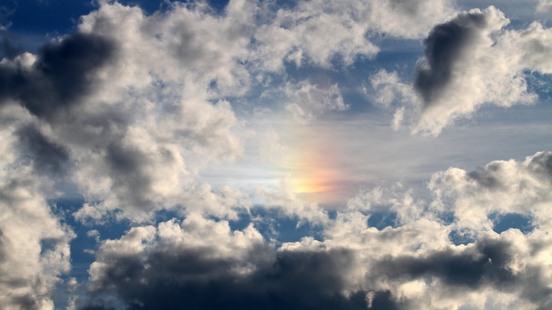 熊猫体育全站-基：全黑队的“球场焦点”，每次出场都让人期待他在攻防两端的精彩表现