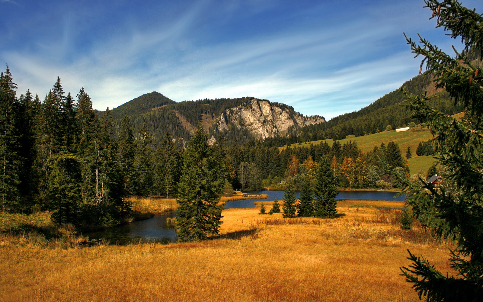 Panda Sports-女篮新秀海外试训归来,技战术提升显著,国外女篮