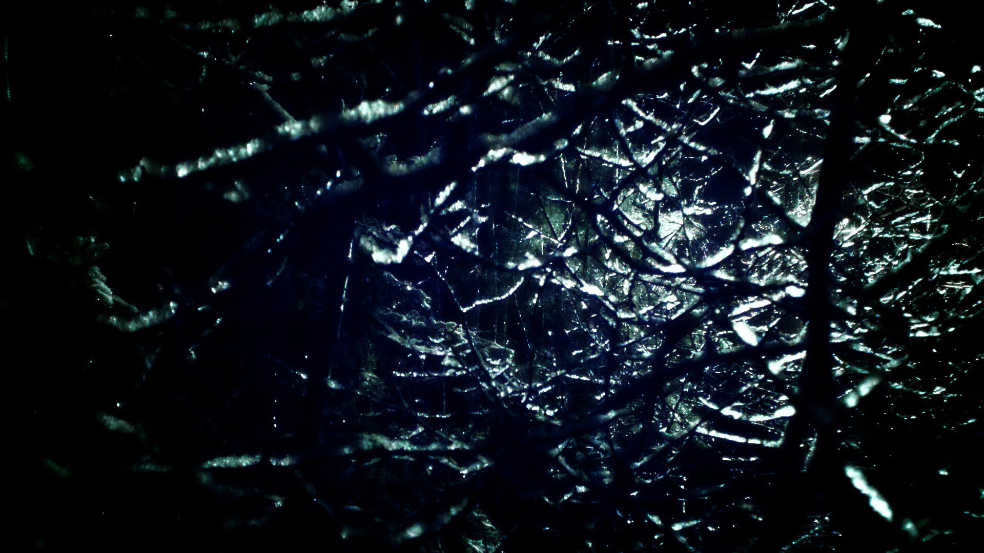 熊猫体育在线登录-美洲杯杀手锏：逆境中诞生的英雄瞬间，美洲杯柜